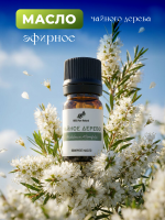 Чайное дерево эфирное масло (Malaleuca alternifolia) 100% pure natural, 10 мл