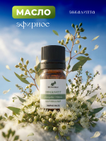 Эвкалипт шаровидный эфирное масло (Eucalyptus Globulus) 100% pure natural, 10 мл