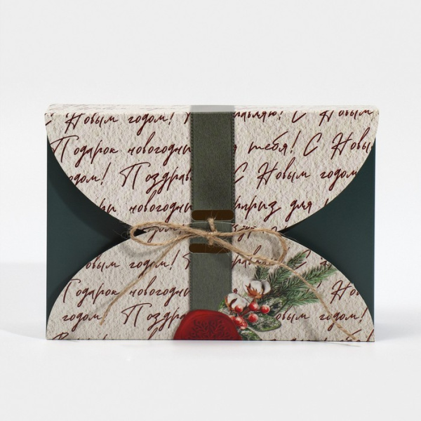 «Новогодняя посылка», 22 х 15 х 6 см